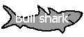 Link to the Bull Shark