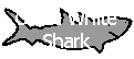 Link to the Great White Shark