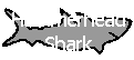 Link to the Hammerhead Shark