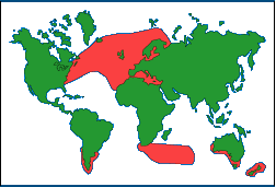 Map showing the Porbeagle Shark's habitat