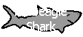 Link to the Porbeagle Shark
