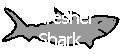 Link to the Thresher Shark