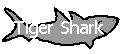 Link to the Tiger Shark